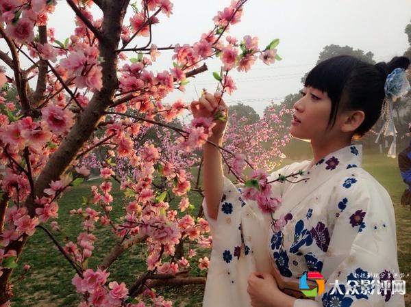 4月樱花季 盘点影视剧的樱花美景-搜狐