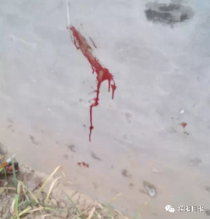 河南6岁男孩在家被人掳走 尸体在田地中被发现