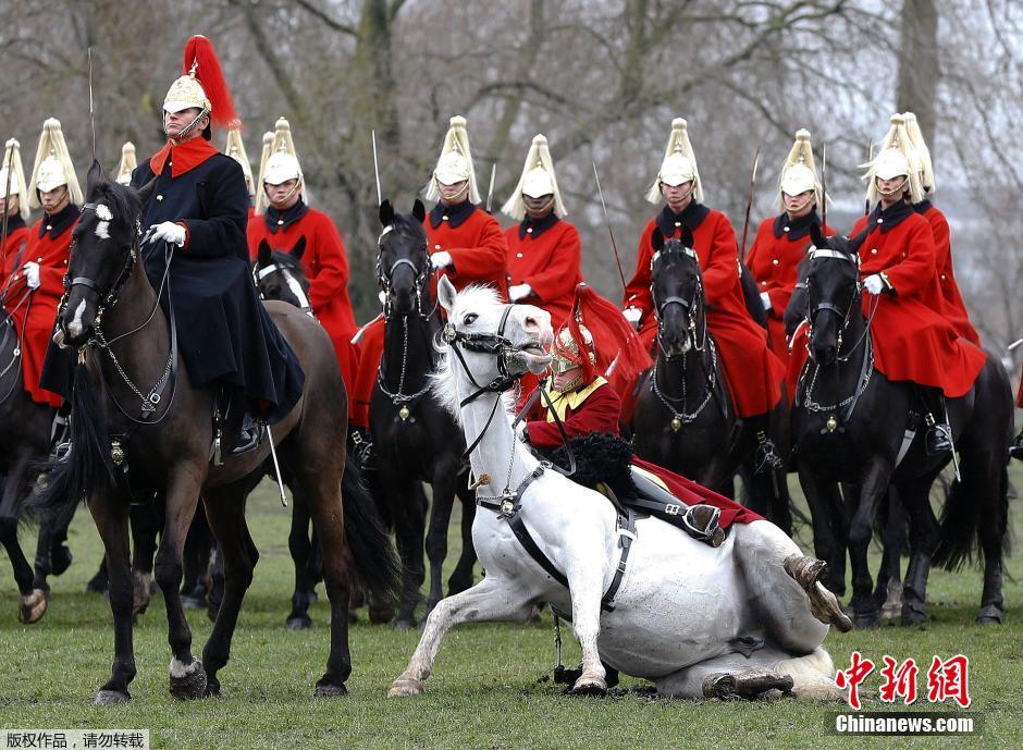 英国皇家骑兵团接受年度检阅 一号兵不慎摔下马背(组图)