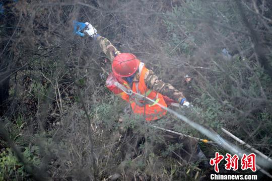 “蜘蛛侠”清扫悬崖树枝上的垃圾。 邵颖 摄