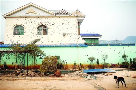 老街一处民宅的墙面上有数百个弹孔,同盟军在进攻老街时曾在这里发生过激烈的枪战。 本版图片/晨报特派记者 杨眉