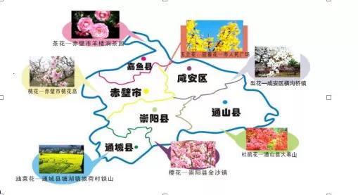 香城泉都何处咸宁赏花大地图为你导航