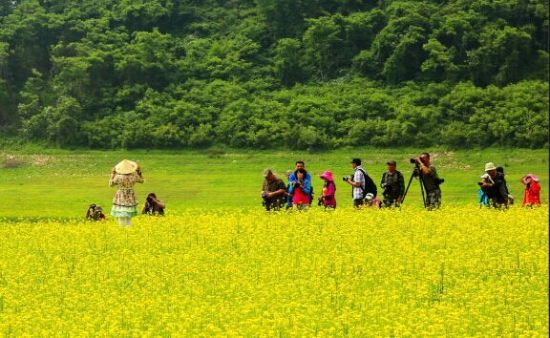 南阳电台15周年庆系列活动第三波 清明时节踏青去