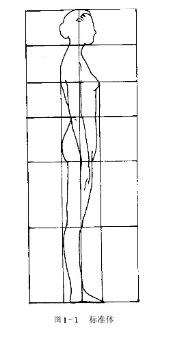 关于人体体型的分类----标准体型和特殊体型