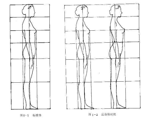 关于人体体型的分类标准体型和特殊体型