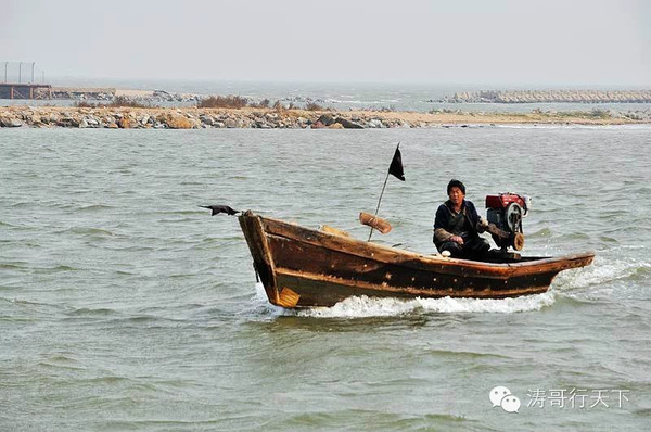 秦皇岛渔民海鲜_秦皇岛的海鲜的名称_渔民捕获一条人鱼图1(4)