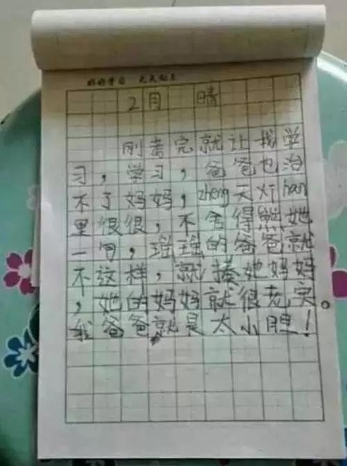 那些年,逗逼熊孩子们的小学作文,进贴长高10厘米,回复