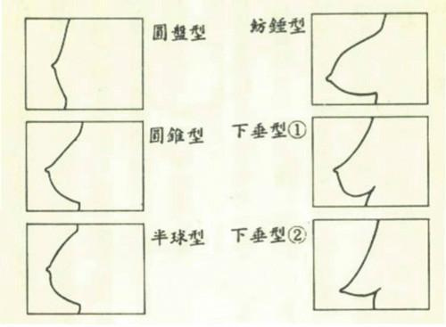 女生贴:关于胸型和科普,文字一定要知道的的图片女生有唯美胸围图片