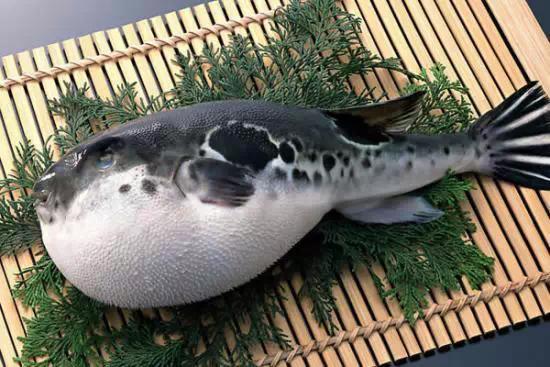 相传此酒为杜康所创,此酒浓郁醇厚,甘甜绵软,营养丰富,其独特品味