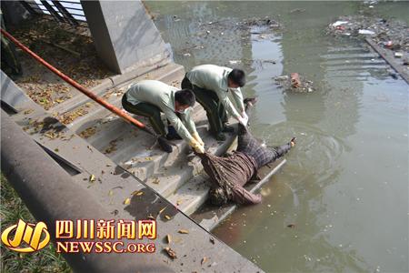 成都公园河道中惊现女性浮尸警方介入调查