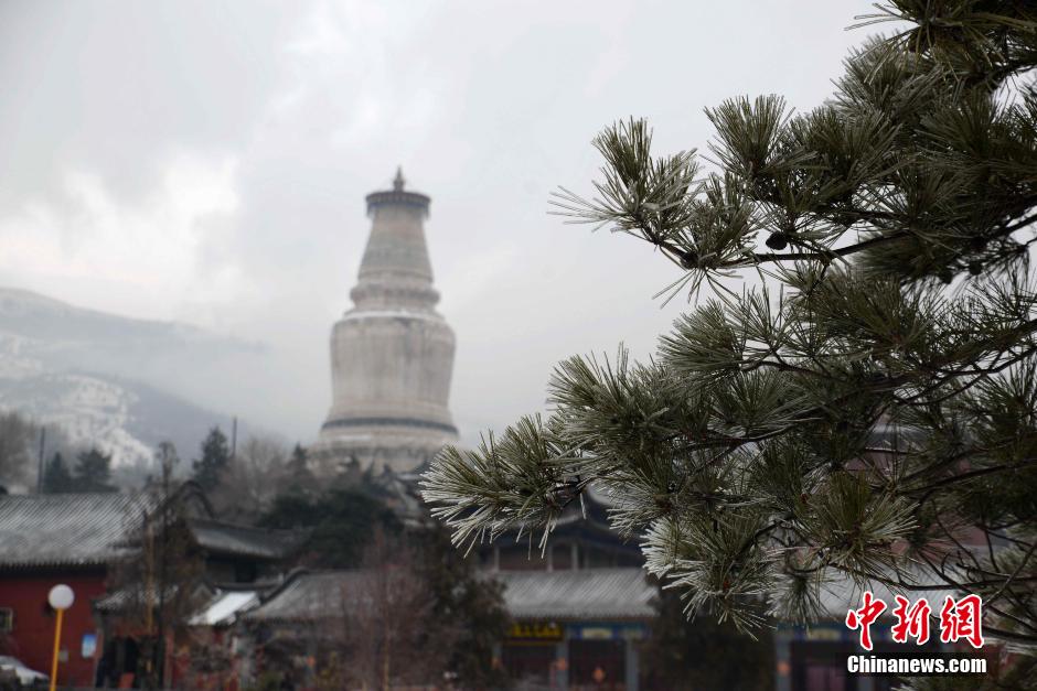 山西五台山出现罕见雨凇奇景(组图)