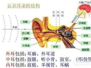 贵阳市口腔医院耳鼻喉科中心专家提醒广大患者朋友,耵聍须积极治疗.