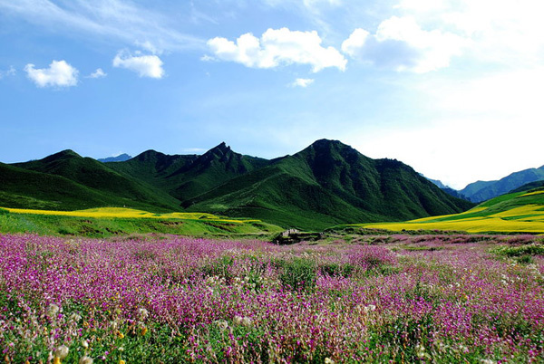 世上没有一个地方像祁连山