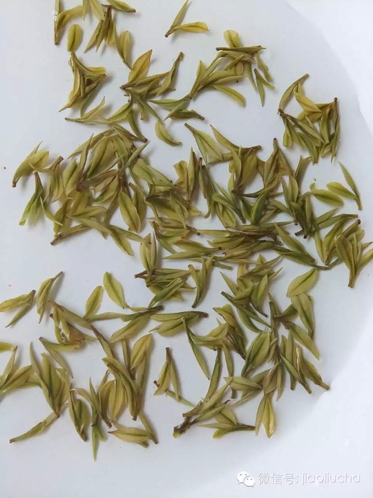 第四款:叶底绿亮,芽头较瘦小,柔软,尚匀整,自然形.