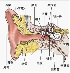 家庭总人口_我很无奈,五年后济南居然要面对这些(2)