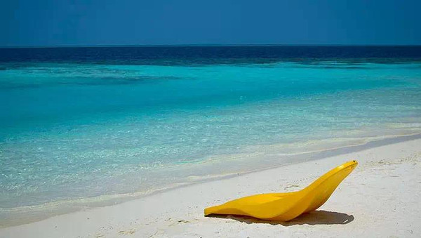 马尔代夫双人游两人住百合花岛酒店多少钱