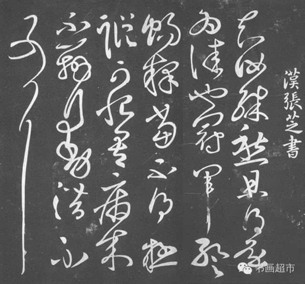 好书法,最擅章草.