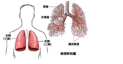 肺癌早期的七大症状