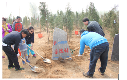 渠道网络践行公益 共植渠道林同圆蓝天梦(图)