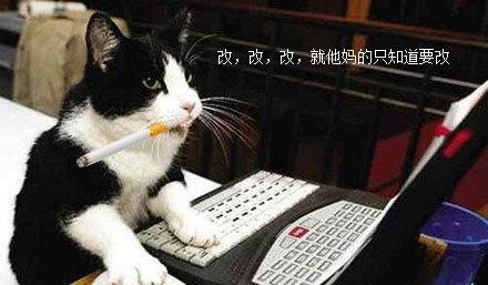 萌猫|工作中岗位表情一览表!笑抽.