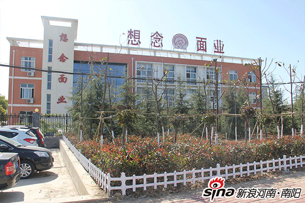 挂面,想念,面,面条