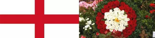 england: tudor rose(都铎玫瑰)