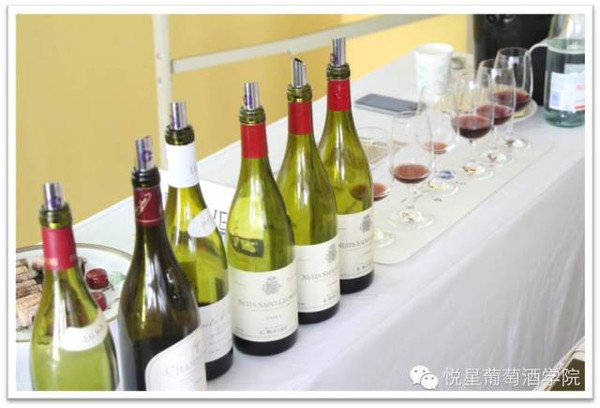 葡萄酒人生,永远在路上:WSET2级最后召集令