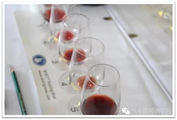 葡萄酒人生,永远在路上:WSET2级最后召集令