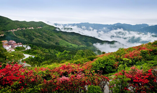 国家4a级景区双牌阳明山广邀游客三年"免费游(组图)