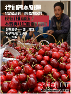 23日,“汉源大樱桃”公益项目上线