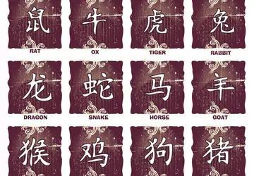 1978年属什么命格 被遗忘的罗盘：当代人为何总在寻找出发时的坐标