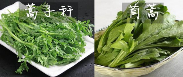 蒿子秆与茼蒿