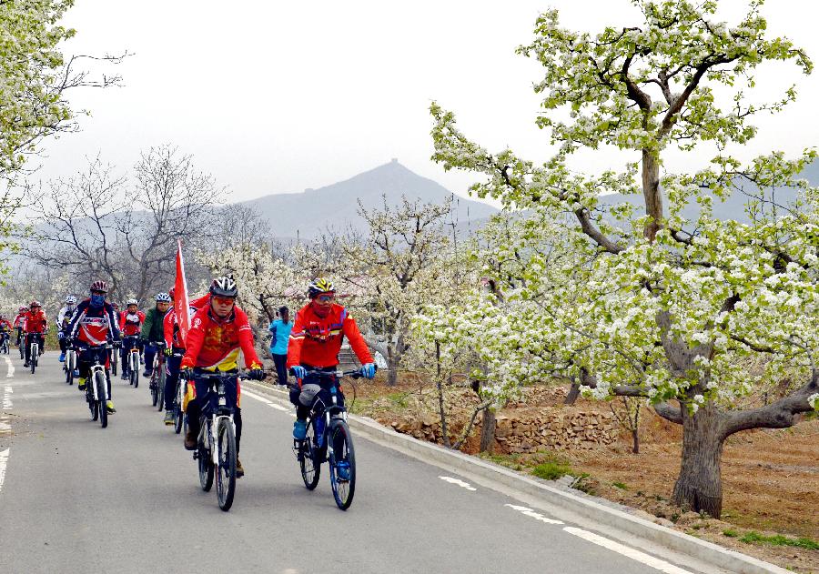 (体育)(1)全民健身——绿道骑行(图)