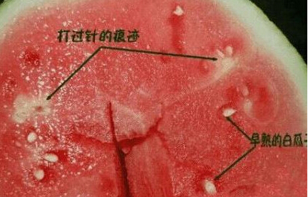 如何辨别出哪些水果是催熟的,别让自己和家人吃坏