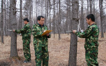 “森林中国·2014中国生态英雄”30名入围者事迹摘要(1)