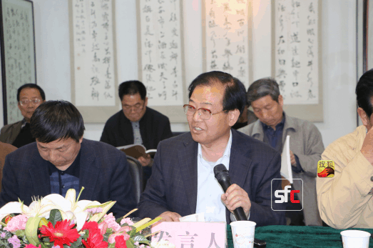 著名文艺评论家常智奇发言 向林摄