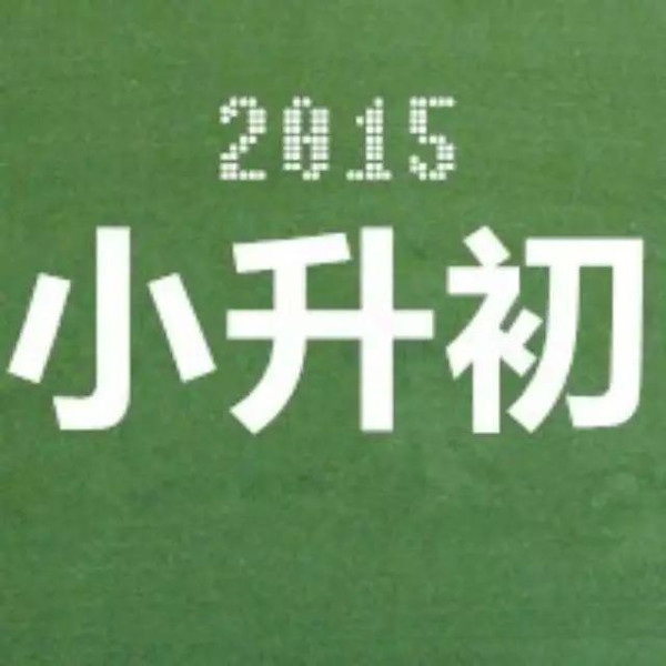 2015齐市增城小升初初中招生计划私立广州学校图片