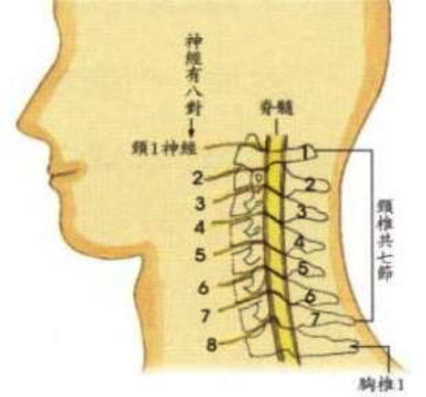 颈椎病如何防治