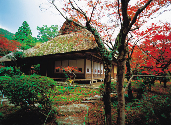 日本旅游最佳路线 日本5日游线路|日本旅游最佳