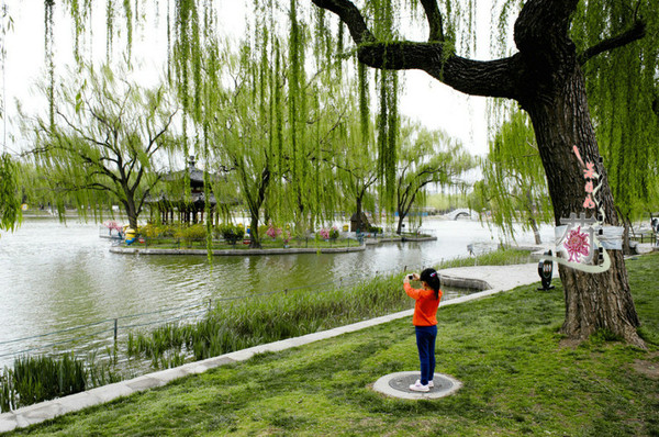 北京公园的春天,原来这么美!