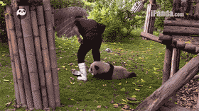 你别走!把我也带上!