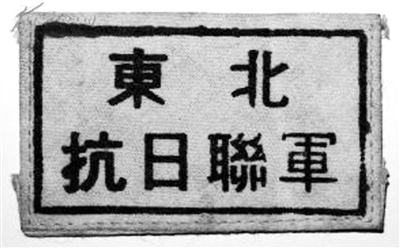 它的名字叫"东北抗日联军"