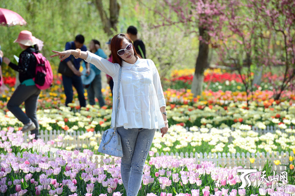 市民在五家渠青湖生态旅游区赏花拍照.