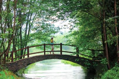 新津斑竹林:养在