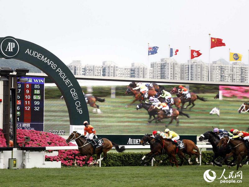 香港赛马资料库,香港赛马排位表,香港国际台赛马直,2014香港速度赛