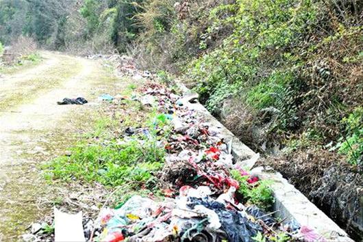 东寺村"垃圾围村"的现象比较典型—由于村民环保意识淡薄,习惯于随地