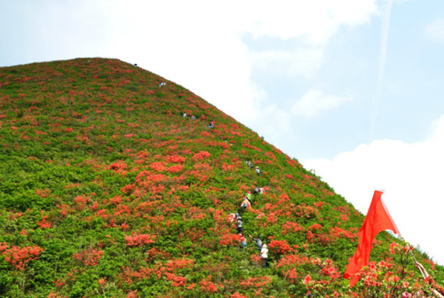 五一婺源:踏原始森林 寻绿野仙踪