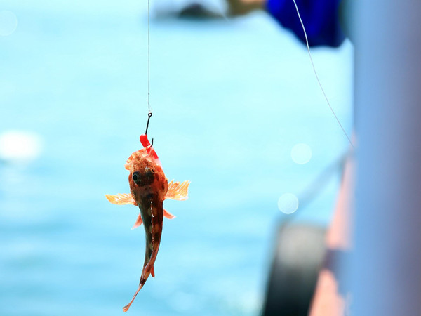 嵊泗海鲜季节_一张海鲜旅游地图陪你吃遍浙江最美海岛生猛海鲜