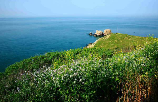 【嵊泗】花鸟岛定制旅游怎么玩