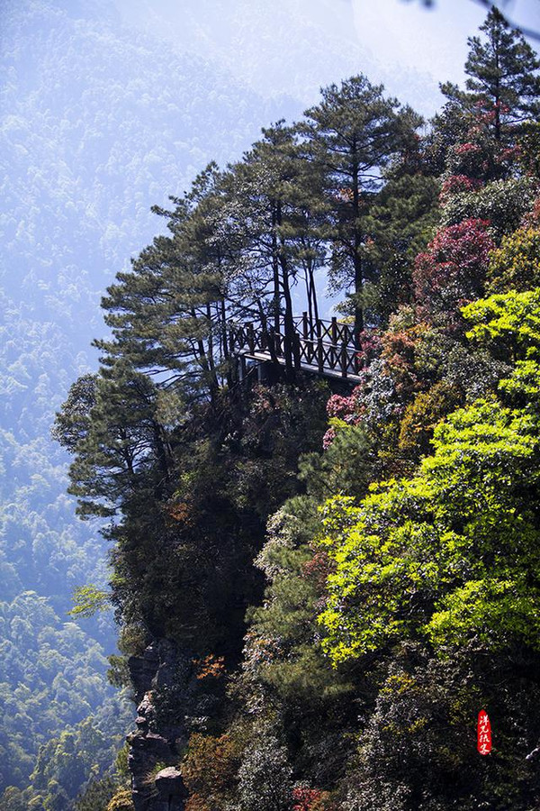 花样南宁行,爱上大明山